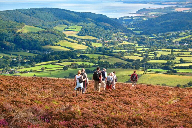 Wayfaring walks image1 1 1 768x512