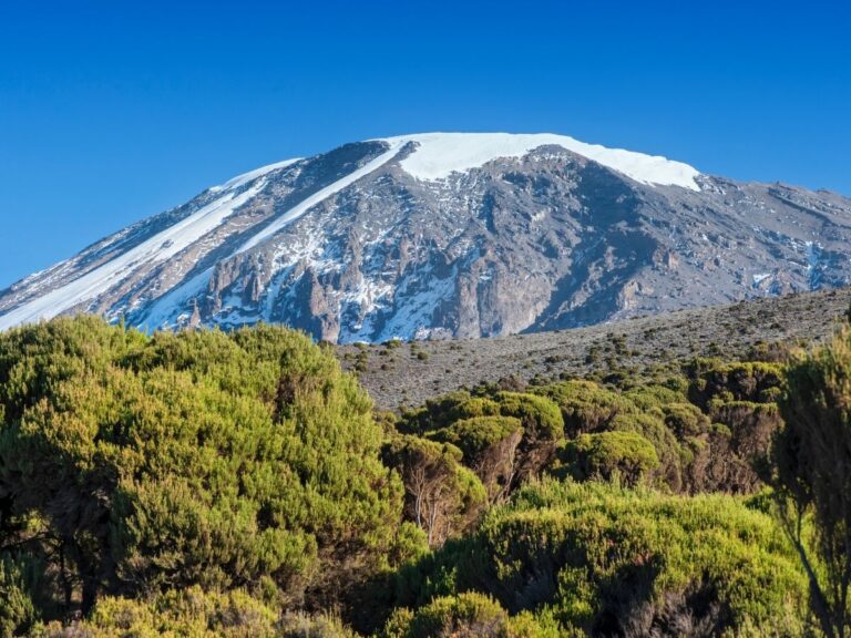 Kilimanjaro 768x576