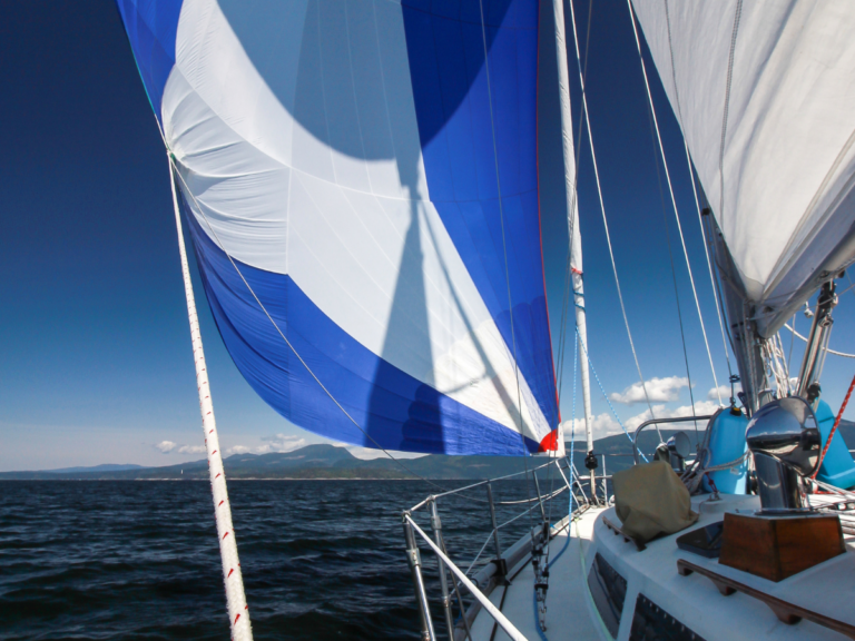 Sailboat 4 768x576