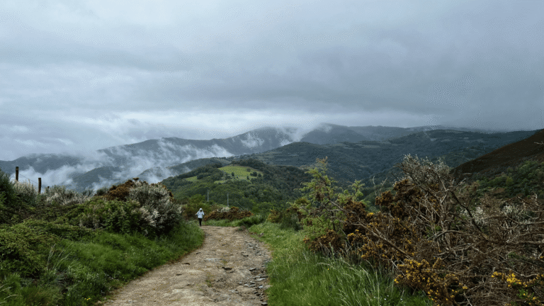 Camino Yoga Retreats 1 768x432