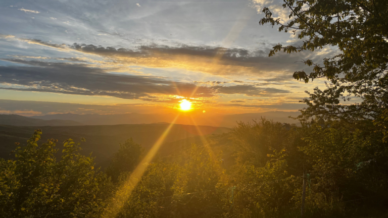Camino Yoga Retreats 3 768x432