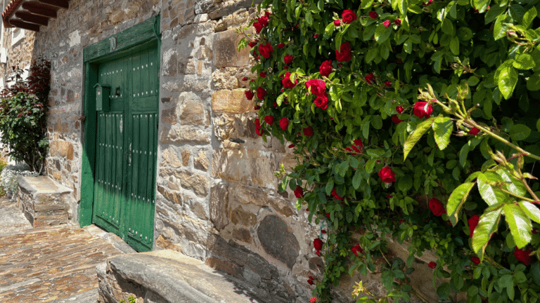 Camino Yoga Retreats 4 768x432