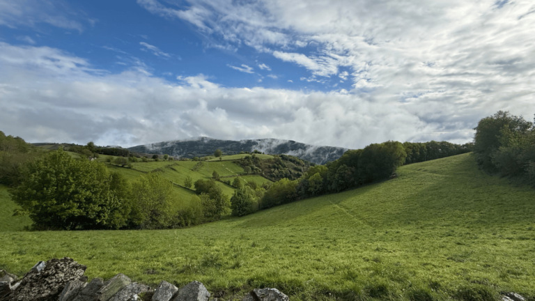 Camino Yoga Retreats 6 768x432