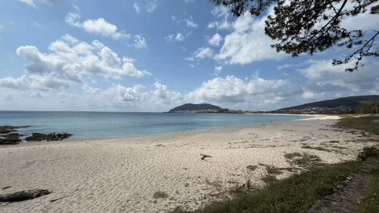 Camino Yoga Retreats 8 768x432